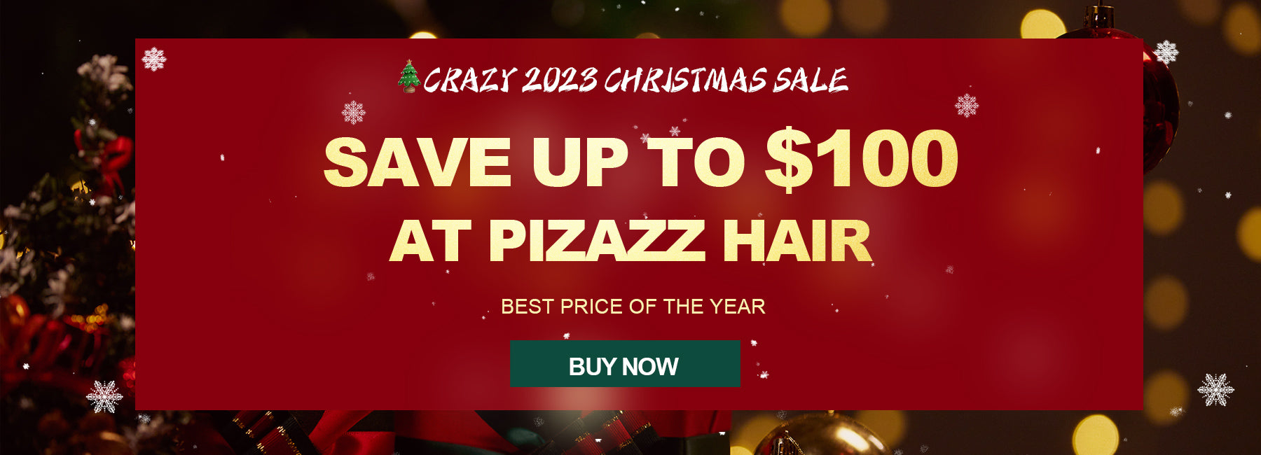 Crazy 2023 Christmas Sale: Save Up to $100 at Pizazz Hair