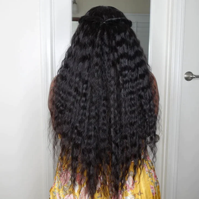 Pizazz Hair Flowy Bohemian Curls Wig Curly Glueless  13x6 Wig Pre-plucked Human Hair wigs