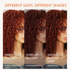 Layered Cut Curly Wig Auburn Brown Color Pre Cut 5x5 HD Lace Glueless Human Hair Wigs For Beginner