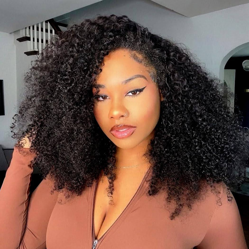 4C Hairline Afro Kinky Curly Wig 220% Density 13x4 Glueless HD Lace Wig