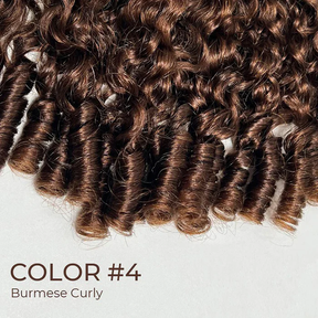 Pizazz 350% Density 13x6 Glueless Wig Dark Brown Burmese Curly With Drawstring Human Hair Wigs