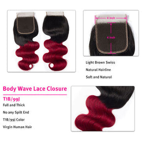 T1B/99j Ombre Color Hair